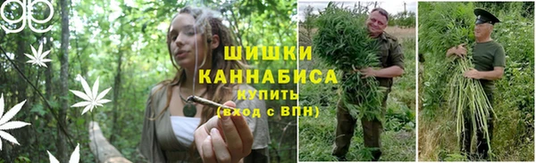 альфа пвп Осинники