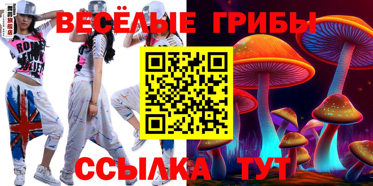 Галлюциногенные грибы MAGIC MUSHROOMS  Псилоцибиновые грибы ЛСД  Янаул  Вход с VPN 
