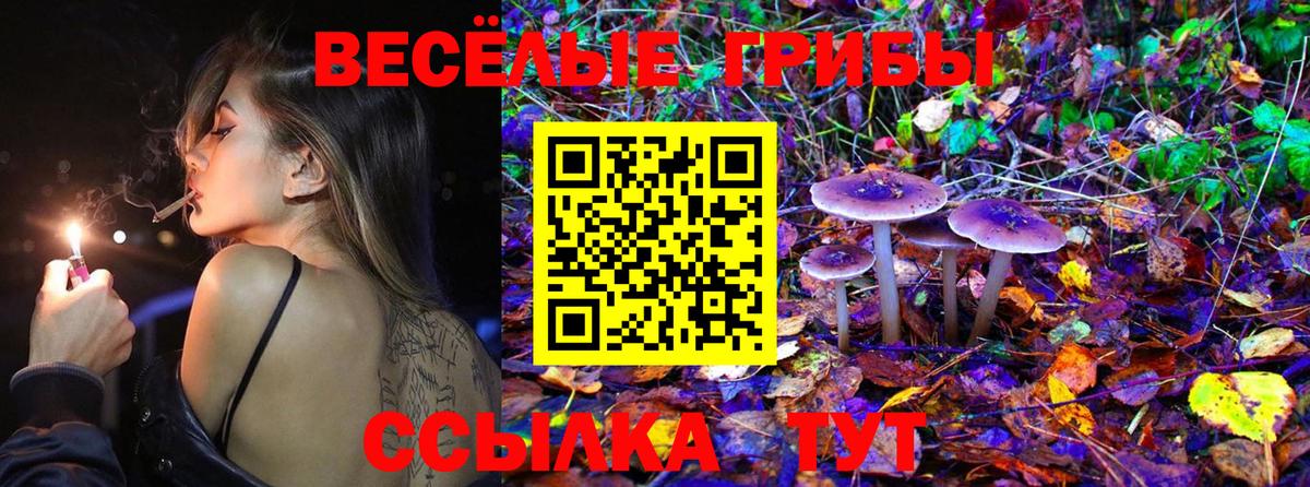 Галлюциногенные грибы MAGIC MUSHROOMS Янаул